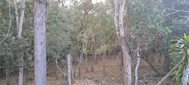com 5 Quartos à venda, 250m² no Shopping Park, Uberlândia