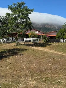 Fazenda/Sítio com 3 Quartos à venda, 9922000m² no , Goiás