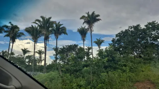 Fazenda/Sítio com 3 Quartos à venda, 23500000m² no , Januária