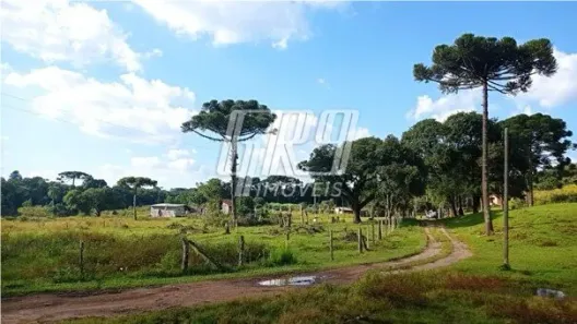 Lote/Terreno à venda, 723754m² no Borda do Campo, Quatro Barras
