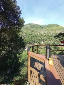 Fazenda/Sítio com 1 Quarto à venda, 30000m² no , Gramado