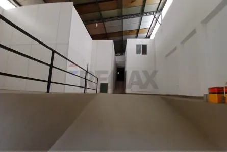 Galpão/Depósito/Armazém para alugar, 250m² no Vila Isolina Mazzei, São Paulo