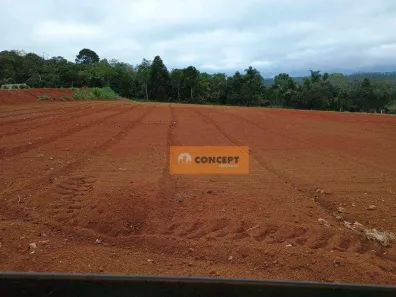 Lote/Terreno à venda, 1000m² no Ipelândia, Suzano