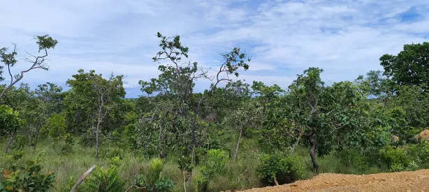 Lote/Terreno à venda, 20100m² no Almeida, Jaboticatubas