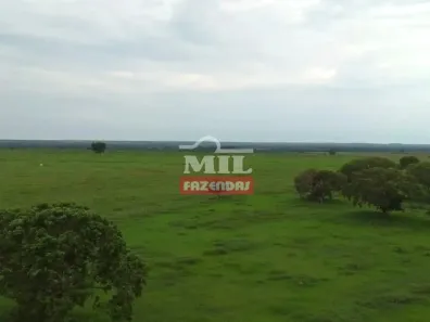 Fazenda/Sítio à venda, 500m² no , Divinópolis do Tocantins