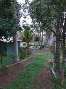 Fazenda/Sítio com 2 Quartos à venda, 5000m² no Área Rural de Uberlândia, Uberlândia