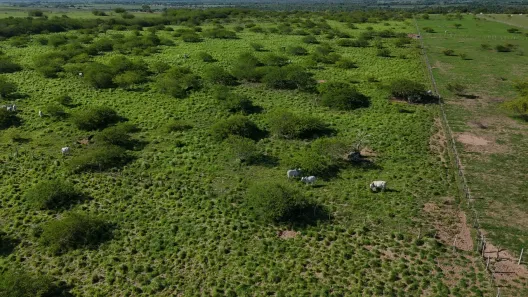 Fazenda/Sítio com 4 Quartos à venda, 1560000m² no , Ceará-Mirim