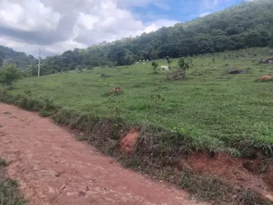 Fazenda/Sítio à venda, 484000m² no , Minaçu