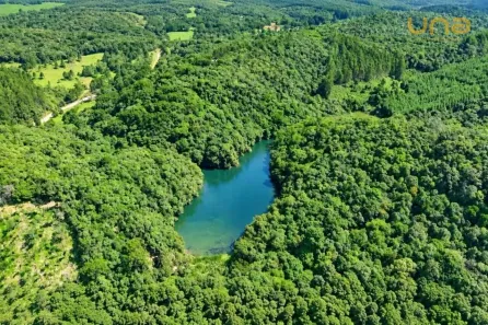Lote/Terreno à venda, 20000m² no , Bocaiúva do Sul