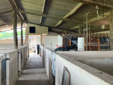 Fazenda/Sítio com 3 Quartos à venda, 72000m² no Centro, Capivari