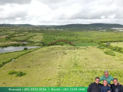 Fazenda/Sítio à venda, 159000m² no Gameleira, Bezerros