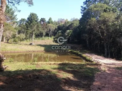 Fazenda/Sítio com 1 Quarto à venda, 20000m² no Campestre da Faxina, São José dos Pinhais