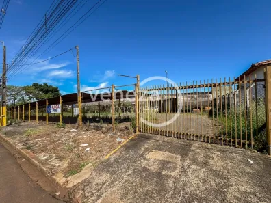 Lote/Terreno para alugar, 1100m² no Jardim Ana Eliza, Cambé