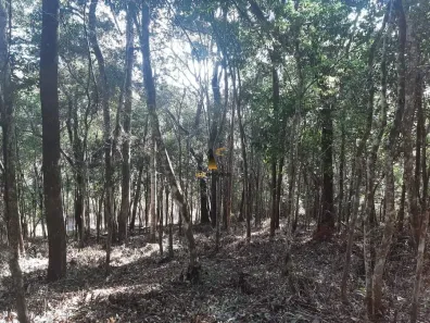 Lote/Terreno à venda, 1000m² no Green Park, Nova Lima