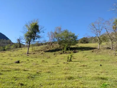 Fazenda/Sítio com 4 Quartos à venda, 90m² no , Canela