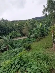 Lote/Terreno à venda, 587m² no Costa Bela, Ilhabela