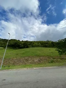 Lote/Terreno à venda, 420m² no Sítio do Morro, Santana de Parnaíba