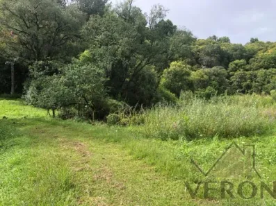 Imóvel Comercial à venda, 20000m² no Monte Bérico, Caxias do Sul