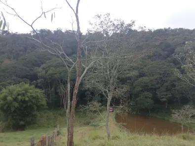 Fazenda/Sítio à venda, 48000m² no , Redenção da Serra
