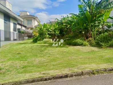Lote/Terreno à venda, 445m² no Pedra Branca, Palhoça