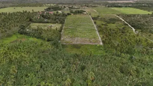 Fazenda/Sítio com 2 Quartos à venda, 120000m² no , Rio do Fogo