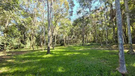 Lote/Terreno à venda, 4100m² no , Picada Café