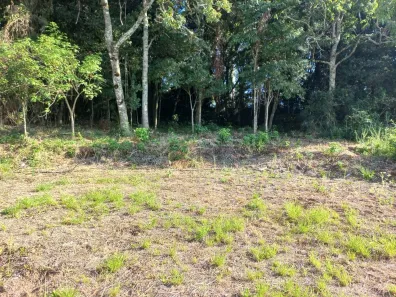 Lote/Terreno à venda, 420m² no Esmeralda, Santa Cruz do Sul