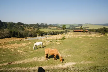 Fazenda/Sítio com 3 Quartos à venda, 200m² no , Palmeira