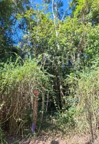 à venda, 4415m² no Itaipava, Petrópolis
