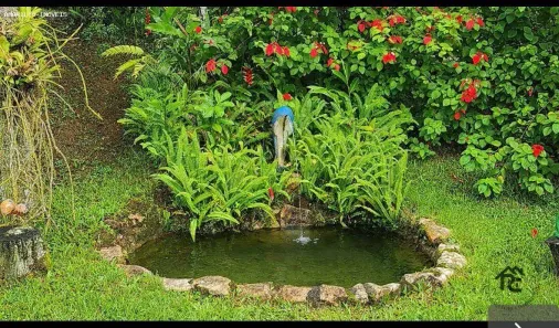 Fazenda/Sítio com 3 Quartos à venda, 120m² no Barra de São João, Casimiro de Abreu
