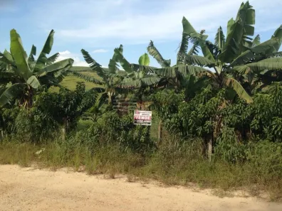 Fazenda/Sítio com 1 Quarto à venda, 6m² no Guamirim, Caçapava