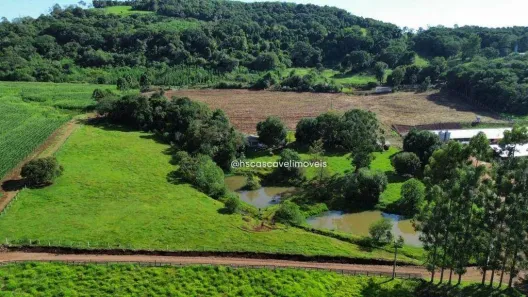 Fazenda/Sítio com 2 Quartos à venda, 18000m² no São Salvador, Cascavel