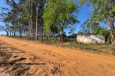 Fazenda/Sítio à venda, 3393m² no Bady Bassitt, Bady Bassitt