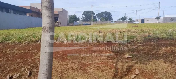 Lote/Terreno à venda, 250m² no Residencial Samambaia, São Carlos