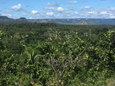 Fazenda/Sítio à venda, 4310000m² no , Miracema do Tocantins