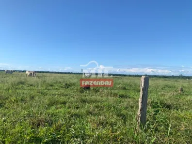 Fazenda/Sítio à venda, 1936m² no , Santa Terezinha