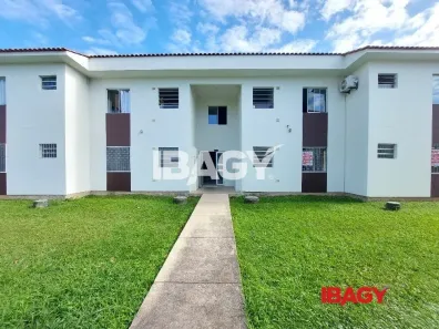 Apartamento com 2 Quartos para alugar, 58m² no Canasvieiras, Florianópolis