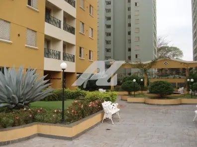 Apartamento com 3 Quartos para alugar, 75m² no Vila Nova, Campinas