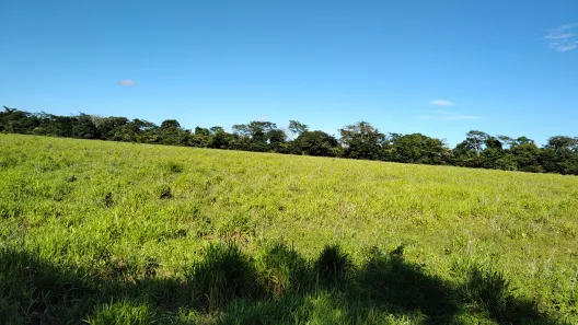 Imóvel Comercial com 3 Quartos à venda, 4650000m² no Zona Rural, Ibiaí