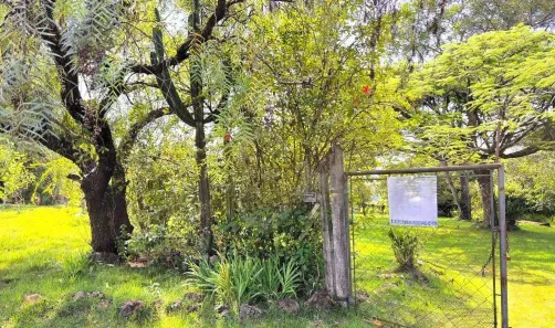 Fazenda/Sítio com 2 Quartos à venda, 155m² no Perobinha, Londrina