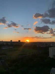 Apartamento com 2 Quartos à venda, 56m² no Jardim Palma Travassos, Ribeirão Preto