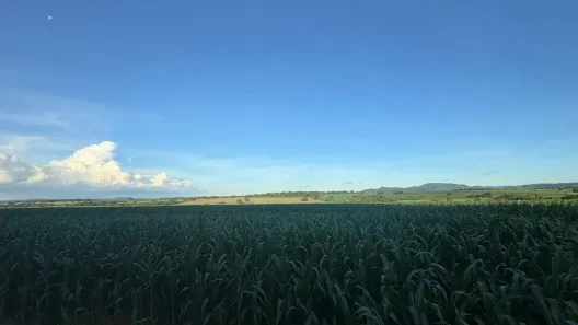 Fazenda/Sítio com 4 Quartos à venda, 3146000m² no Centro, Itaberaí