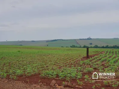 Fazenda/Sítio à venda, 145200m² no Rural, Ourizona