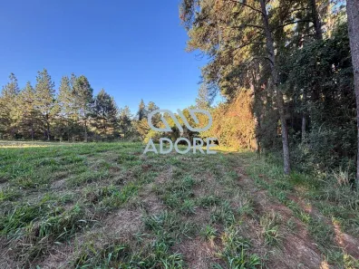 Lote/Terreno à venda, 2177m² no Loteamento Residencial Parque Terras de Santa Cecília, Itu