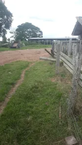 Fazenda/Sítio à venda no , Piçarra