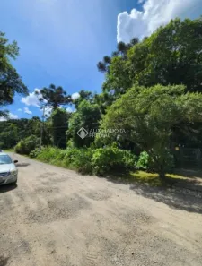 Lote/Terreno à venda, 1100m² no Suzana, Canela