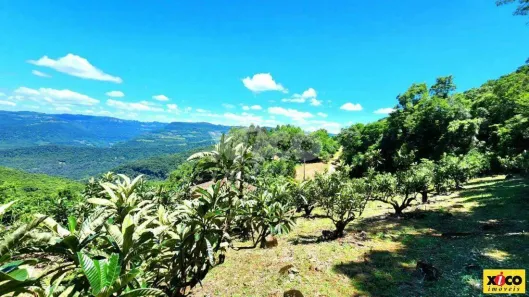 Fazenda/Sítio com 1 Quarto à venda, 5000m² no Centro, Caxias do Sul