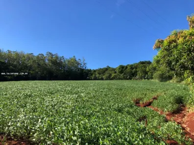 Lote/Terreno à venda, 26000m² no , Londrina
