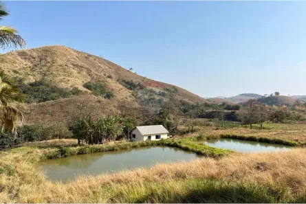 Fazenda/Sítio com 10 Quartos à venda, 550000m² no Argirita, Argirita