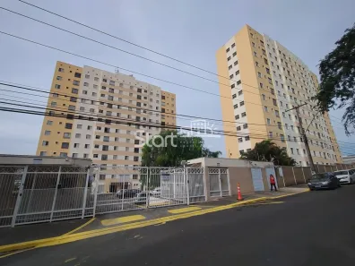 Apartamento com 2 Quartos para alugar, 45m² no Vila Georgina, Campinas